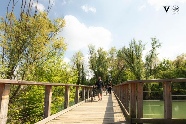 In_bici_fra_le_vie_di_Treviso[1]